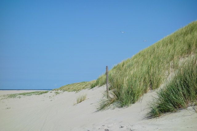 Strand Foto Dünen mit Sony RX 100