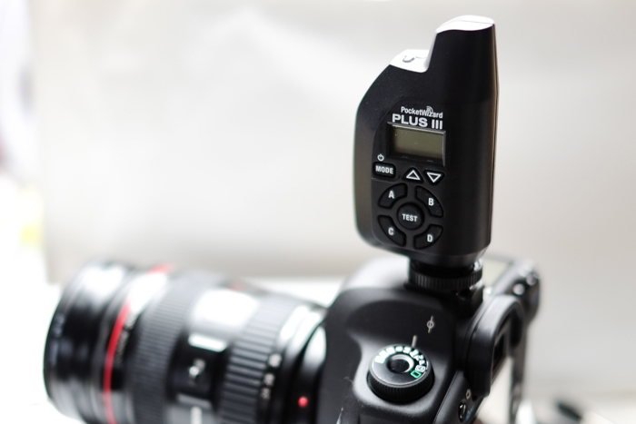 PocketWizard Plus III Transceiver an der Canon EOS 5D MK II