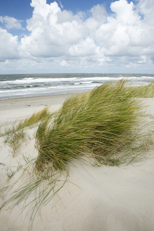 Landschaftsfotografie auf Texel. Dieses Bild entstand sogar ohne Stativ, da es viel zu windig war, um ein Stativ aufzubauen.
